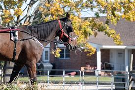 LR-WRF 10182025 Retreat-6403